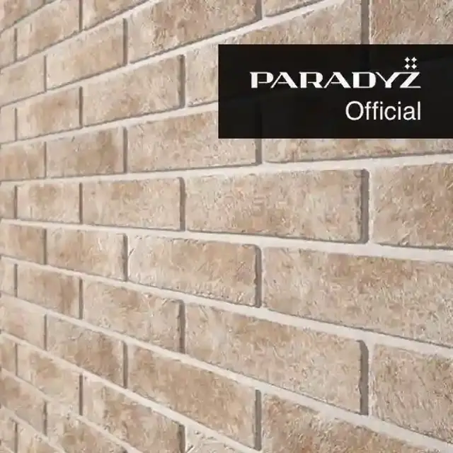 Paradyz Scandiano Ochra