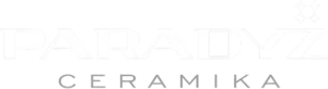 Paradyz Official Logo