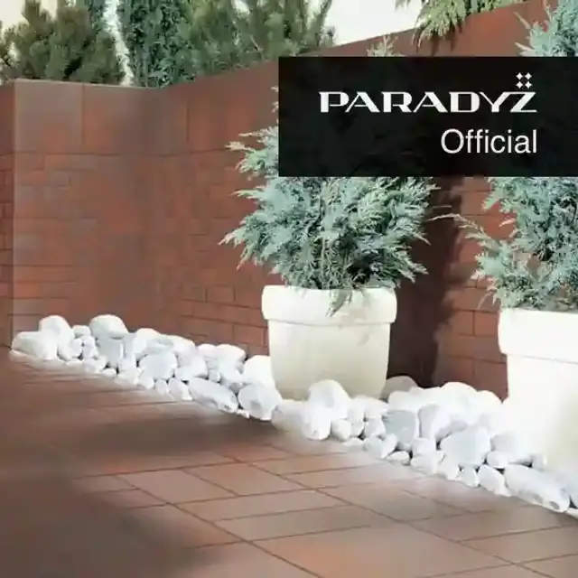 Paradyz Cloud Brown