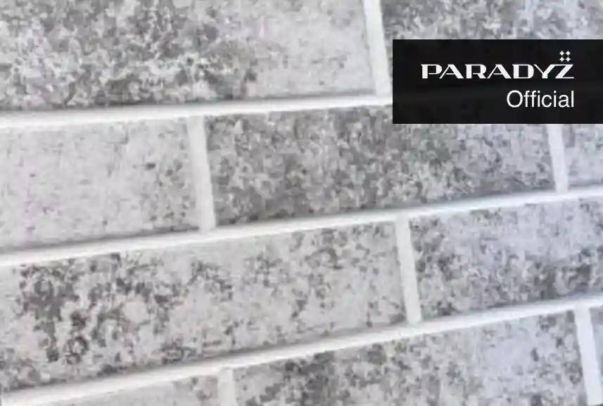 Paradyz Porti Light Grey